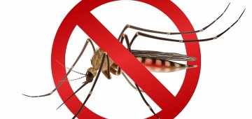 Secretaria da Saúde pede apoio da população no combate à dengue